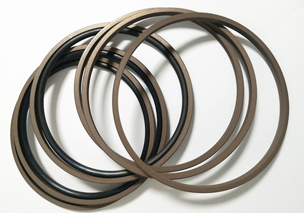 LFH02 孔用回转密封